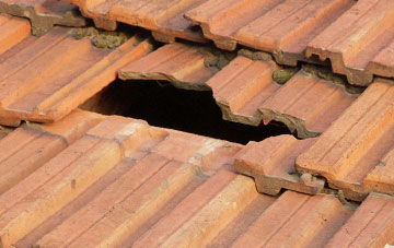 roof repair Silver Green, Norfolk